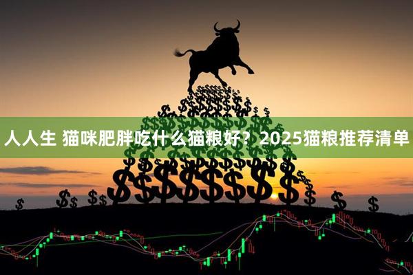 人人生 猫咪肥胖吃什么猫粮好？2025猫粮推荐清单