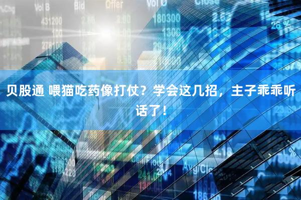 贝股通 喂猫吃药像打仗？学会这几招，主子乖乖听话了！