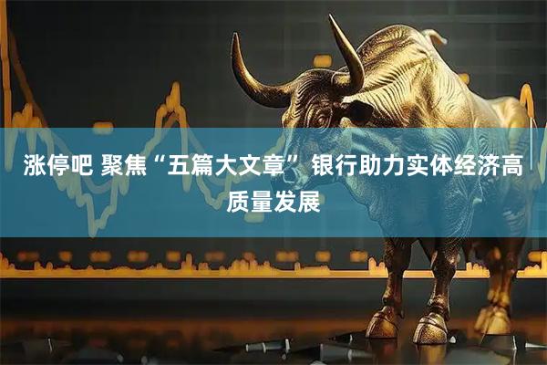涨停吧 聚焦“五篇大文章” 银行助力实体经济高质量发展