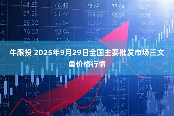 牛跟投 2025年9月29日全国主要批发市场三文鱼价格行情