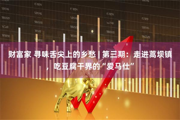 财富家 寻味舌尖上的乡愁 | 第三期：走进蒿坝镇，吃豆腐干界的“爱马仕”
