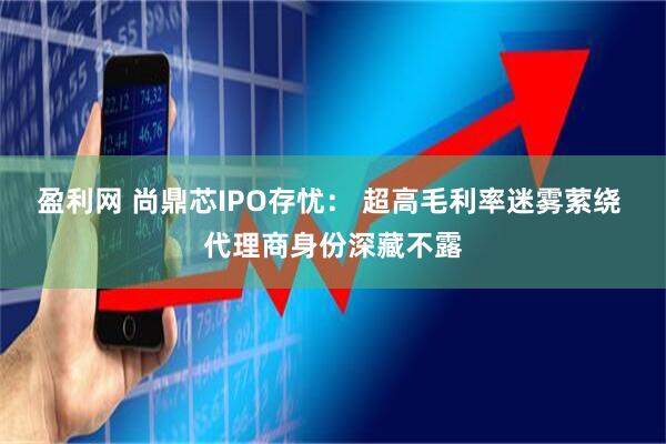 盈利网 尚鼎芯IPO存忧： 超高毛利率迷雾萦绕 代理商身份深藏不露