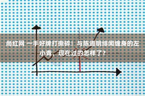 尚红网 一手好牌打撕碎!与陈道明绯闻缠身的左小青,现在过的怎样了?