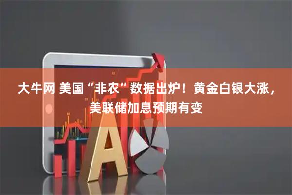大牛网 美国“非农”数据出炉！黄金白银大涨，美联储加息预期有变